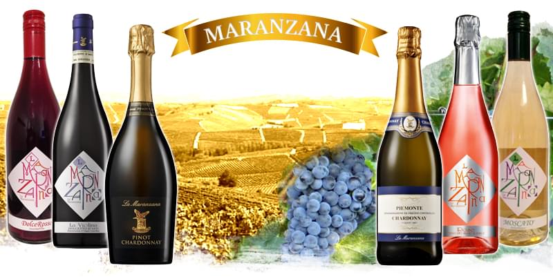 Winery Maranzana